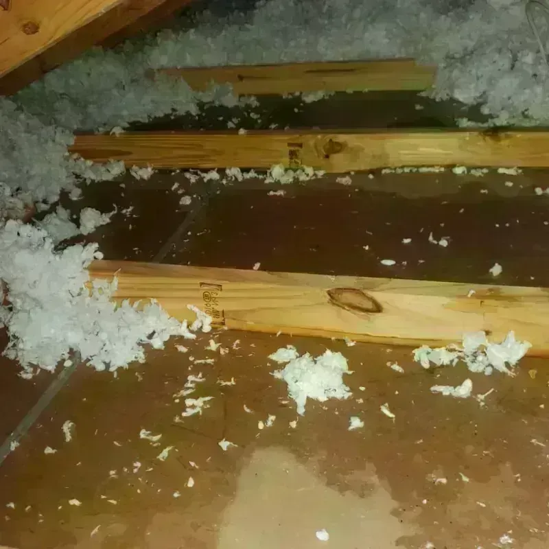 Attic Water Damage in Littleton, NH